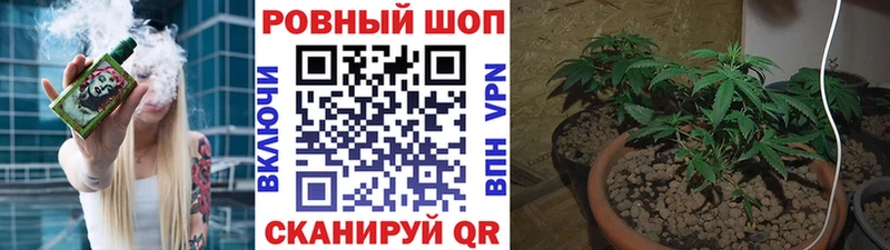 Купить закладку Павловская мега как войти  АМФ  APVP  Бошки Шишки  Гашиш  Меф мяу мяу  COCAIN 
