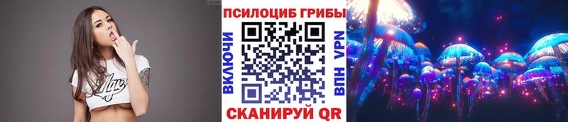 Псилоцибиновые грибы Cubensis наркошоп Павловская